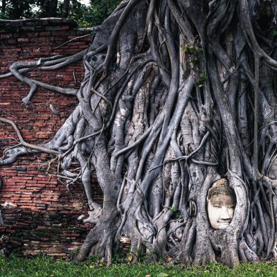Forbes Includes Ayuttaya On Top 50 Best Places To Visit During Post-COVID Period