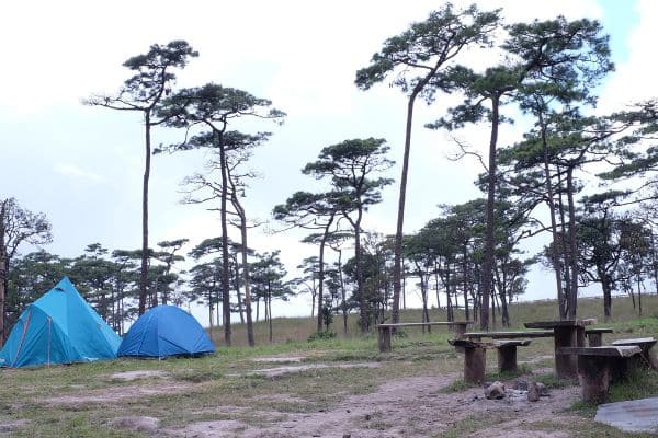 Camping at phu soi dao