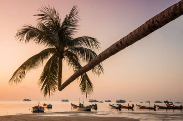 sairee beach koh tao